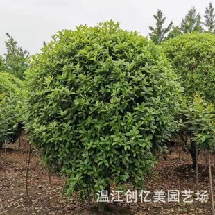 �ͷ�֧�𻨘����\�������𻨸߶�1.5-2-2.5-3��