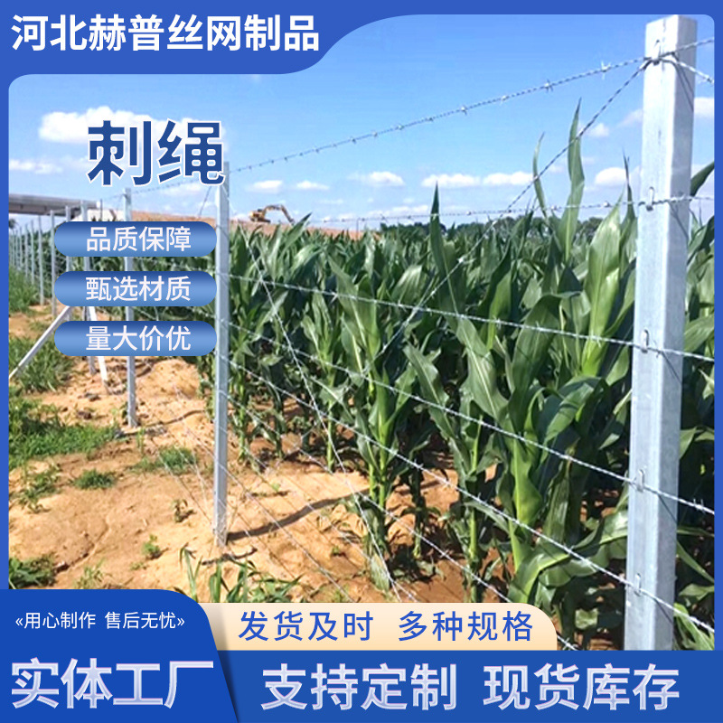 定制铁丝网带刺监狱隔离围栏钢丝刺绳不锈钢防爬铁蒺藜防盗网