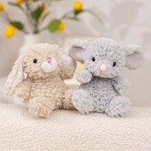 ����С����żС����ë�q��ߴ���ò������Lβ�������չ��жY��