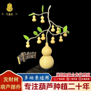 ���]�lؔ�侫Ʒ���Jë���~Ƭ��[���Lˮ�լ�k���ҼҾӺ��J�[��