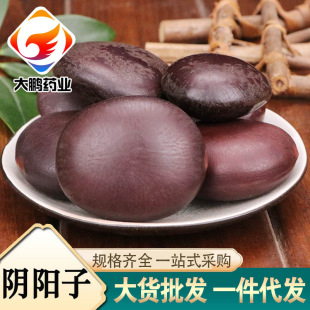 ľ�������l��ș��һ�����l����ľ�����^�����}���������ӿ��_Ʊ