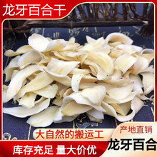 湖南直销龙牙百合一级中药材500g食用药用百合粉批发健脾可食用