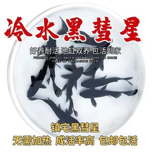 �����Ǻ��B�ͻ�С���~�լ��ؔ�����^�p�~��ˮ��ˮ�^�p�~һ�����l