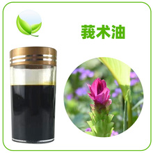 ݭ�g�ͽ���ݭ�g���o���͛]ș�ͪ����Ͱ�����ݭ�g�̓r�����l