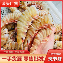 去头斑节虾鲜活船冻锁鲜冷冻大号竹节九节虾海鲜水产新鲜一盒200g