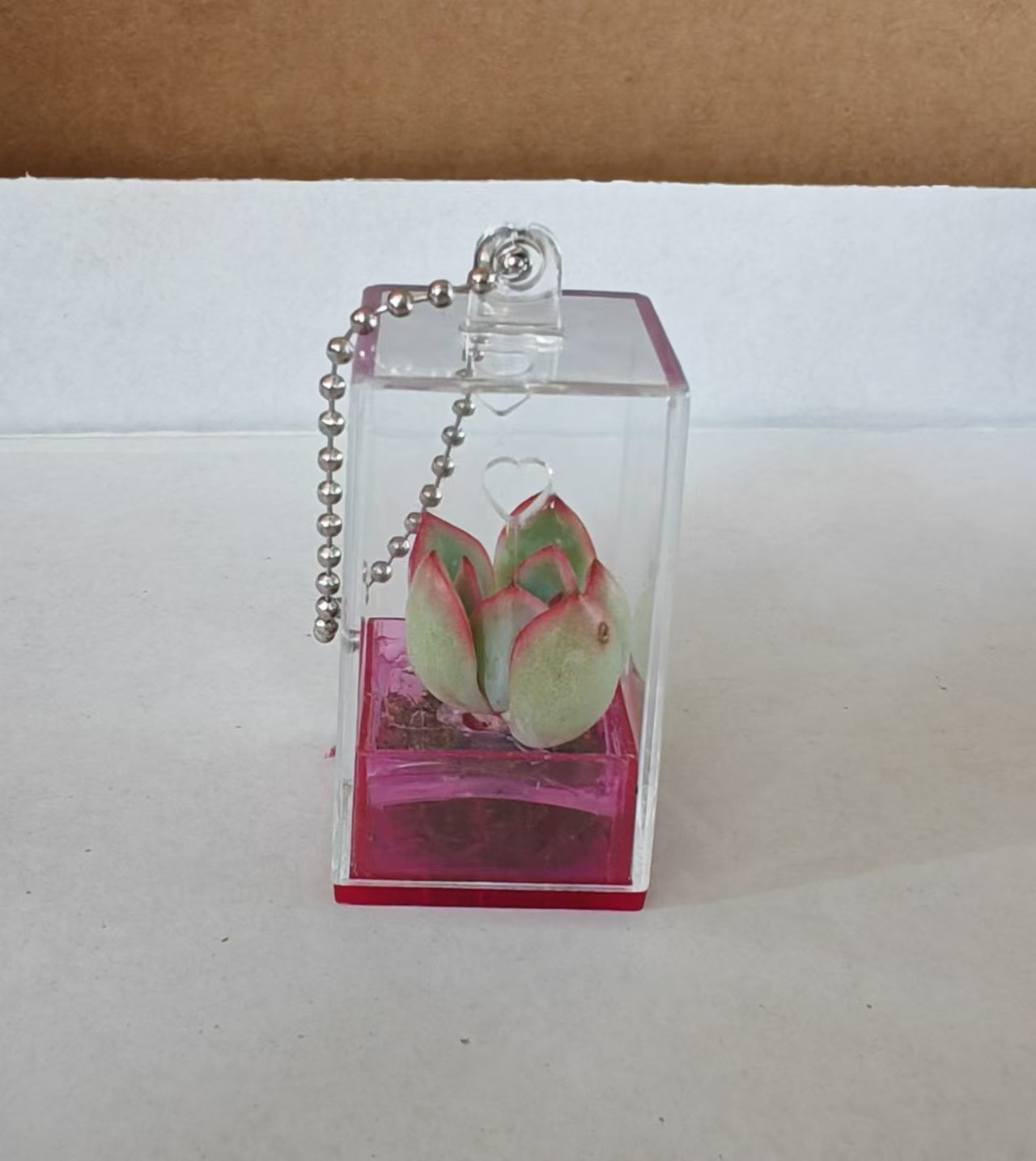 微信图片_20241021090815