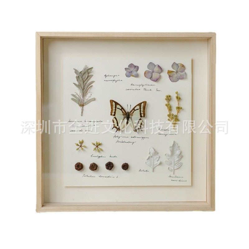 干花永生花相框礼物植物标本昆虫蝴蝶动物标本装饰挂画摆件玻璃盒 - 6