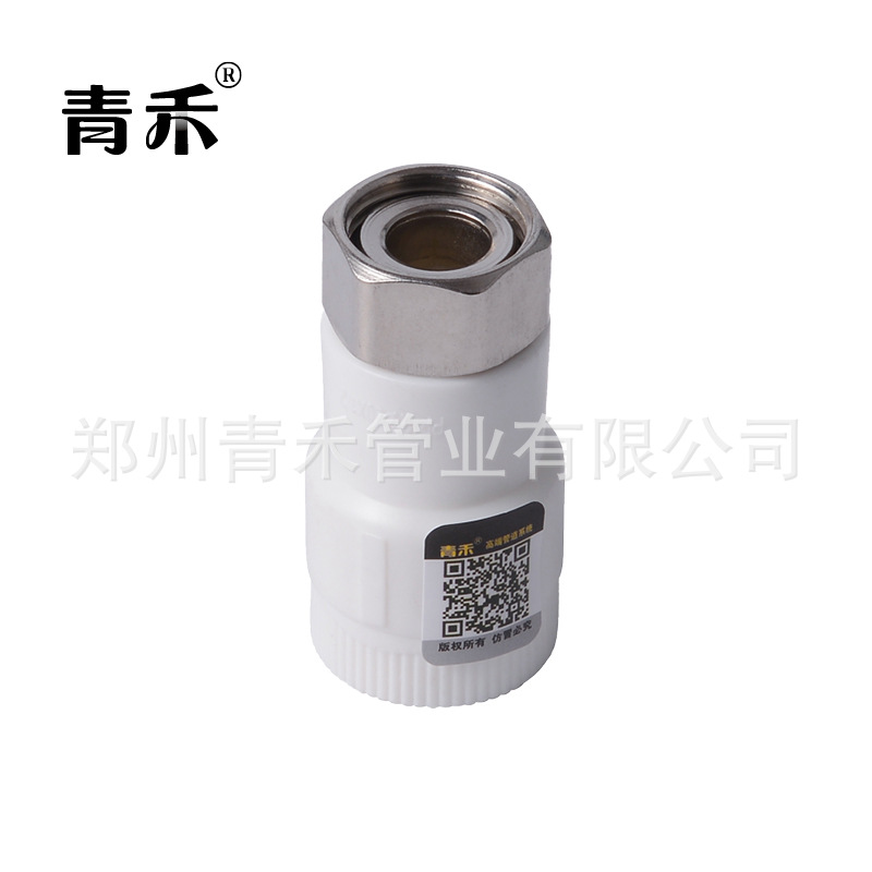 厂家供应 PPR热水器活直接 不锈钢加厚 家装热水器配件