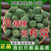 ���߻����������5��Ұ�����߻���]�������Ч��