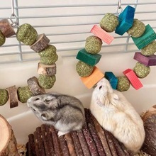 С��ĥ�����}�����ӽ�z��ĥ����ʳ�ľ��؈��֦��ĥ�����]