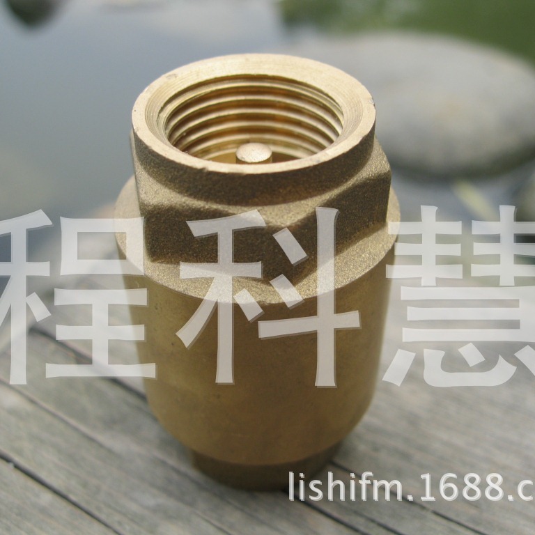 [特厚款]黄铜立式止回阀弹簧止回阀自来水表前单向阀逆止阀水泵阀