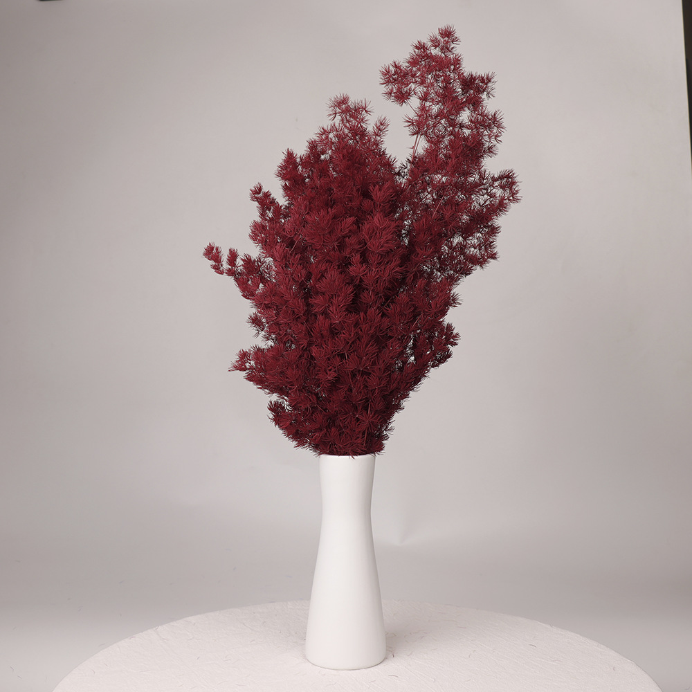 Bouquet de pin de noël éternel séché pour décoration maison_voghion.com