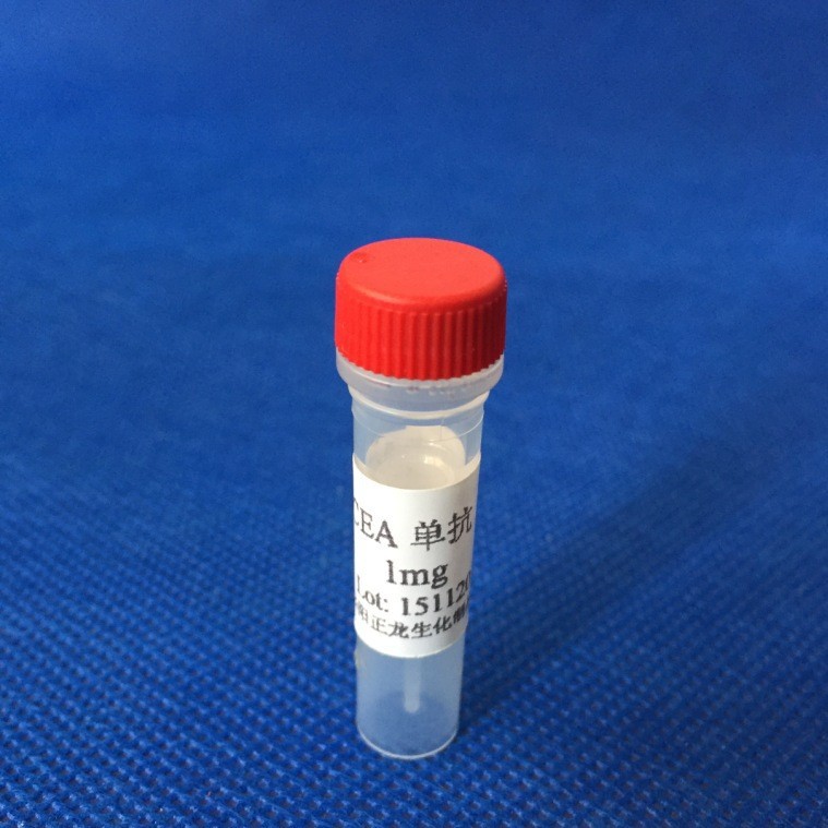 CEA����¡����