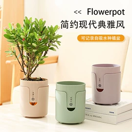 衣钩/挂钩;除毛/粘毛器;收纳盒