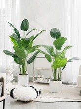 �����B���滨�����Gֲ�͏d�҃Ȕ[�����˽�����Gֲ���Լ�ֲ���b�