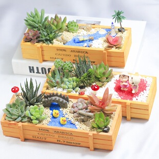 ����ֲ��M�������ײͶ���DIY΢���^���ϰ����躬���҃ȾGֲ���l-