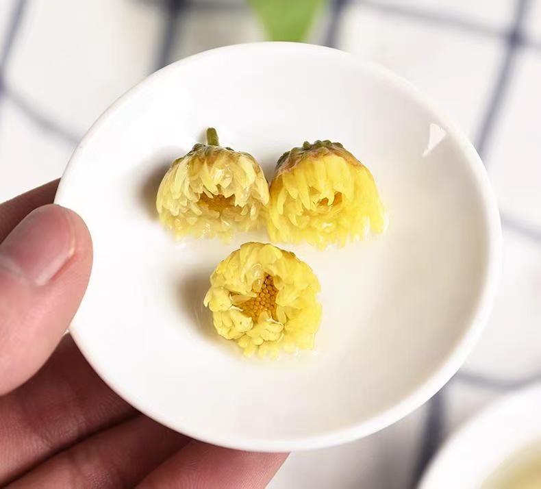 Tai Ju Fetal Chrysanthemum Buds 500g Dried Chrysanthemum Flowers for Herbal Tea Brewing in use