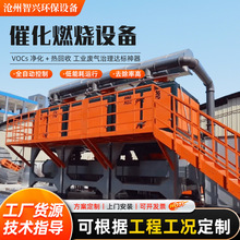 厂家批发RCO催化燃烧设备铸塑废气活性炭吸附脱附催化燃烧一体机