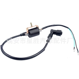 点火线圈;点火器;电子调节器