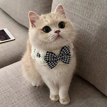 ؈�乷�����������Yᘿ����쌙�����ë����ˮ�������Ʒ�b�Ʒ