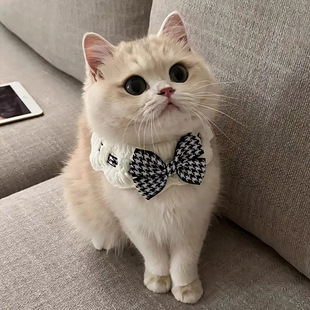 ؈�乷�����������Yᘿ����쌙�����ë����ˮ�������Ʒ�b�Ʒ