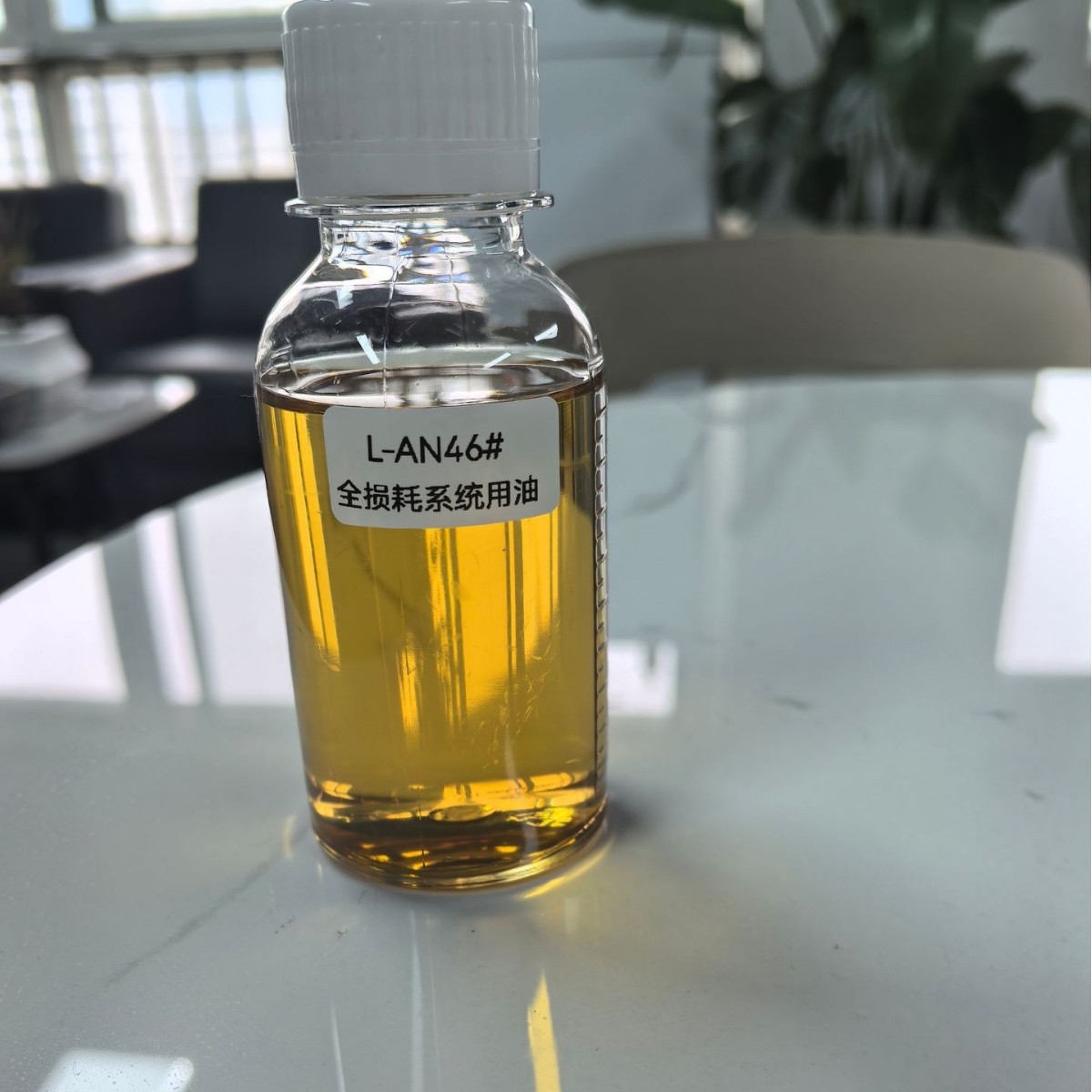 2025-02-08 16:30:45.jpg