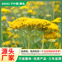 �S��ֱ�Nǧ�~��ݷN�ӻ��њW����䏲����޸��ͺ����л��̨����