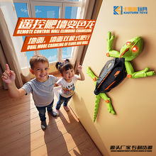 �羳�b������׃ɫ�������������܇�ڻ������b��܇�f�}�����M���