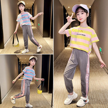 女童套装夏装2024年新款洋气网红中大童运动女孩夏季长裤一件代发