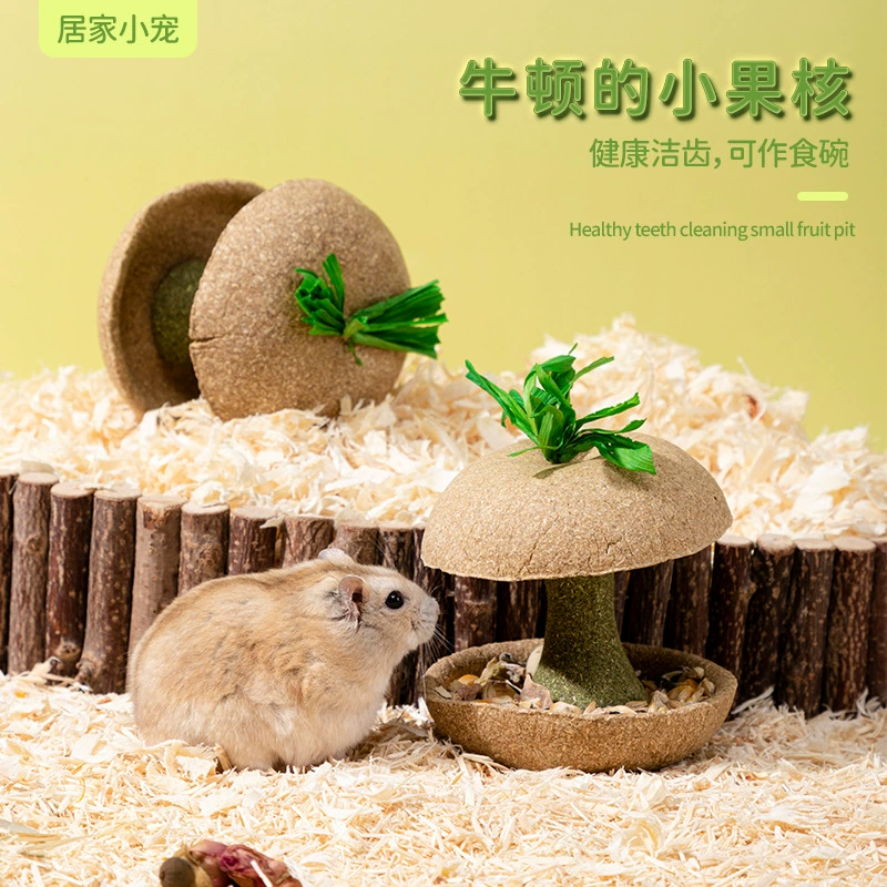 Корм для хомяков, корнеподобные палочки, яблочный сердцевина, золотой медведь, питательные закуски, игрушки для жевания, игрушки и товары для ландшафтного дизайна