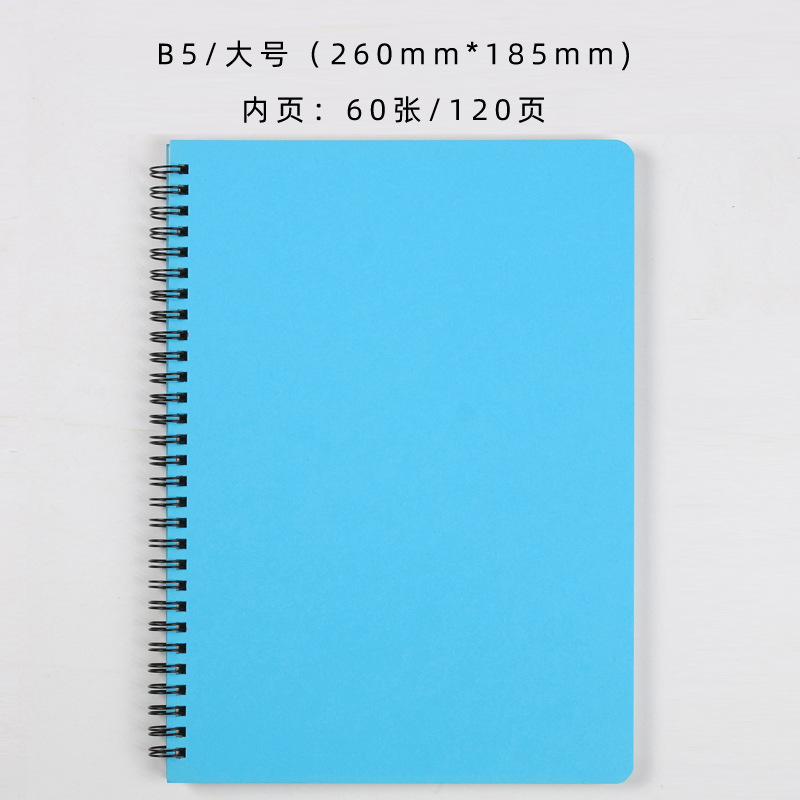 B5 대형 블루