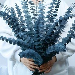 ユーカリの銅銭ユーカリの乾いた花の永遠の花の越境の熱い販売品の家庭の装飾の浴室の装飾のdiy材料