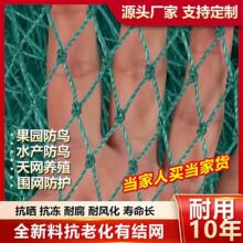 厂家直销防鸟网尼龙网青蛙养殖防逃网牛蛙围网鱼塘池塘泥鳅天网