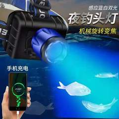 夜釣り灯ブルーライト超明るいヘッドライト白青双光源充電可能な大出力500メートル遠射鉱灯釣りled