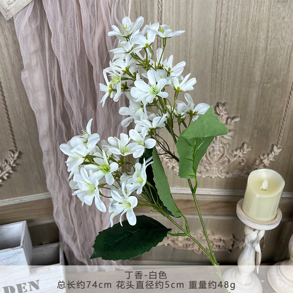 MJ-ไลแลค-ขาว