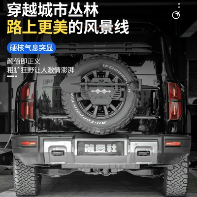 Decorative Cover, Exterior Modification, Light frame