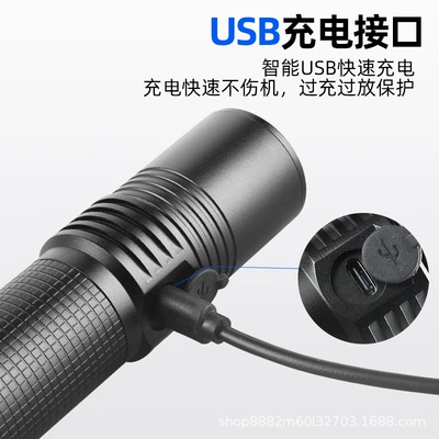 395nm High Power Violet Flashlight UV fənərlər