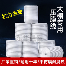 ]zҴ￹ϻӺĤяSֱNɫ