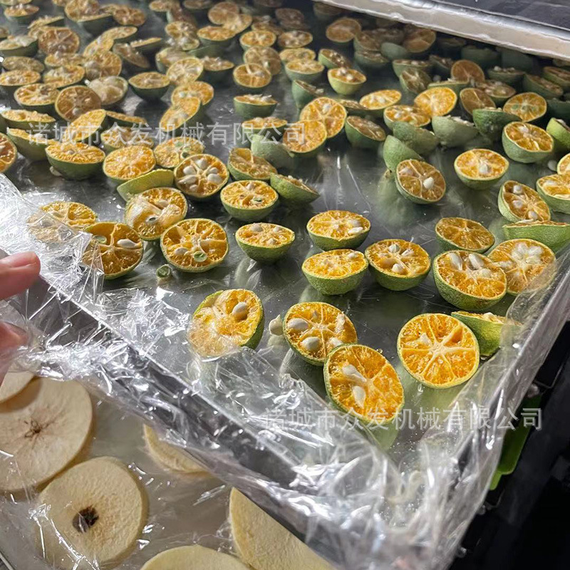 众发青柠檬真空冷冻干燥机 小橘子冻干设备 苹果片真空冻干机