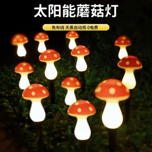 �羳̫��ܼtĢ����ֲ��ز������ͥԺ���^����С����ɭ�ּtɫĢ