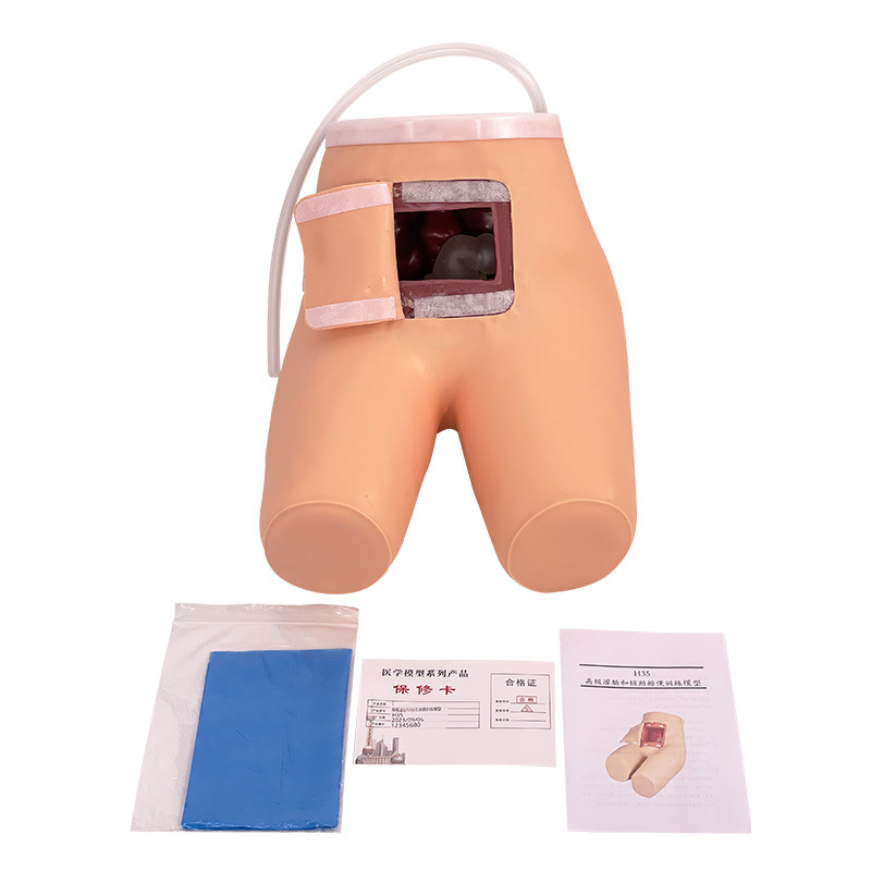 ��ѧ��������೦�͸����ű�ѵ��ģ�� ҽ��ģ��೦��ѧ��ѵģ��