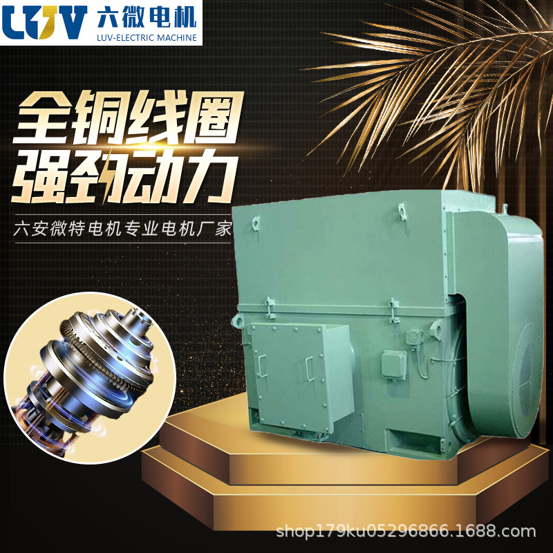 六安微特电机马达Y．YKK （6KV）高压电动机高压电机厂家IP55/56