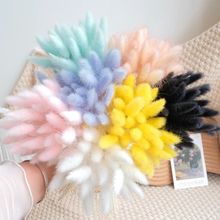 永生兔尾草高级感干花真花家居客厅装饰摆件花束搭配DIY装饰材料