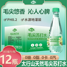 畅饮毛尖美味日期顺滑弱解腻碱性解渴清甜苏打水全新无气