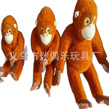 �羳���ͨ������ë�q��߿ɐۺ���ë�q��ż���з����������