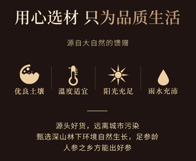 Wild Mountain Ginseng Dried Forest Ginseng Changbai Mountain Northeast Specialty Aged Root for Wine and Soup key features