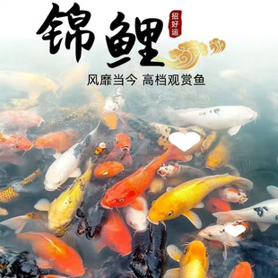 ��̖20���\�����l�~����ɫ�t�מ���׽��S��t����ˮ�^�p�\�a����