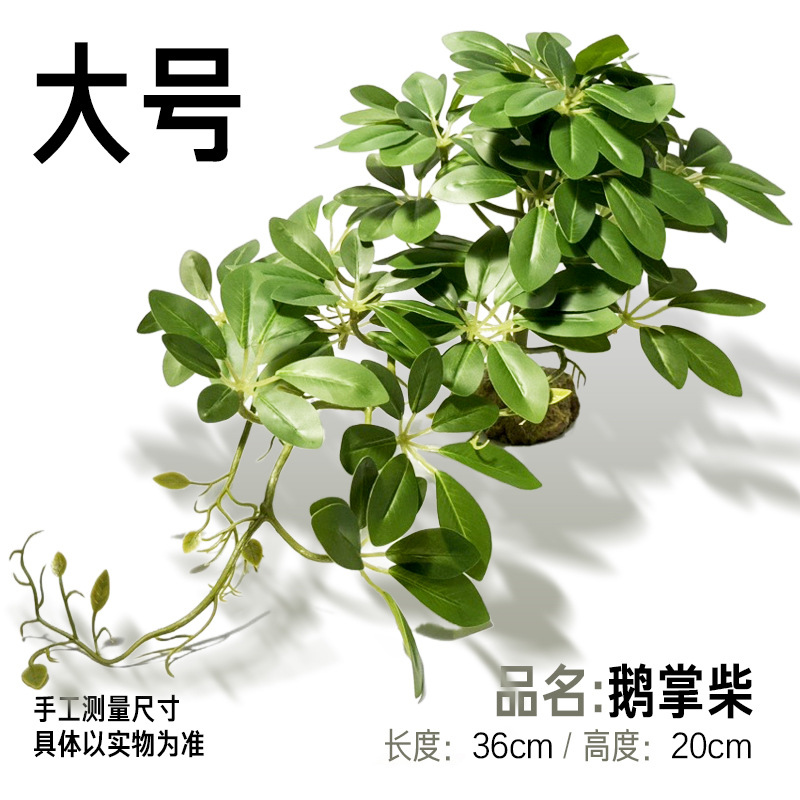 대형 거위발