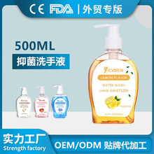 500ml抑菌洗手液 家用水洗消毒洗手液 外贸出口贴牌定制 OEM厂家