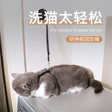 猫咪洗澡神器洗猫剪指甲防抓防咬固定器防挣脱宠物美容桌拴猫绳子